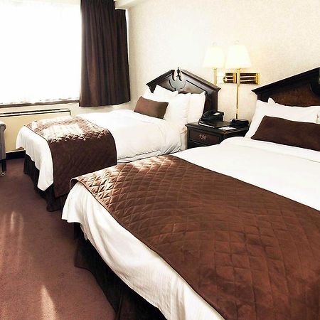 Best Western Primrose Hotel Downtown Toronto Extérieur photo